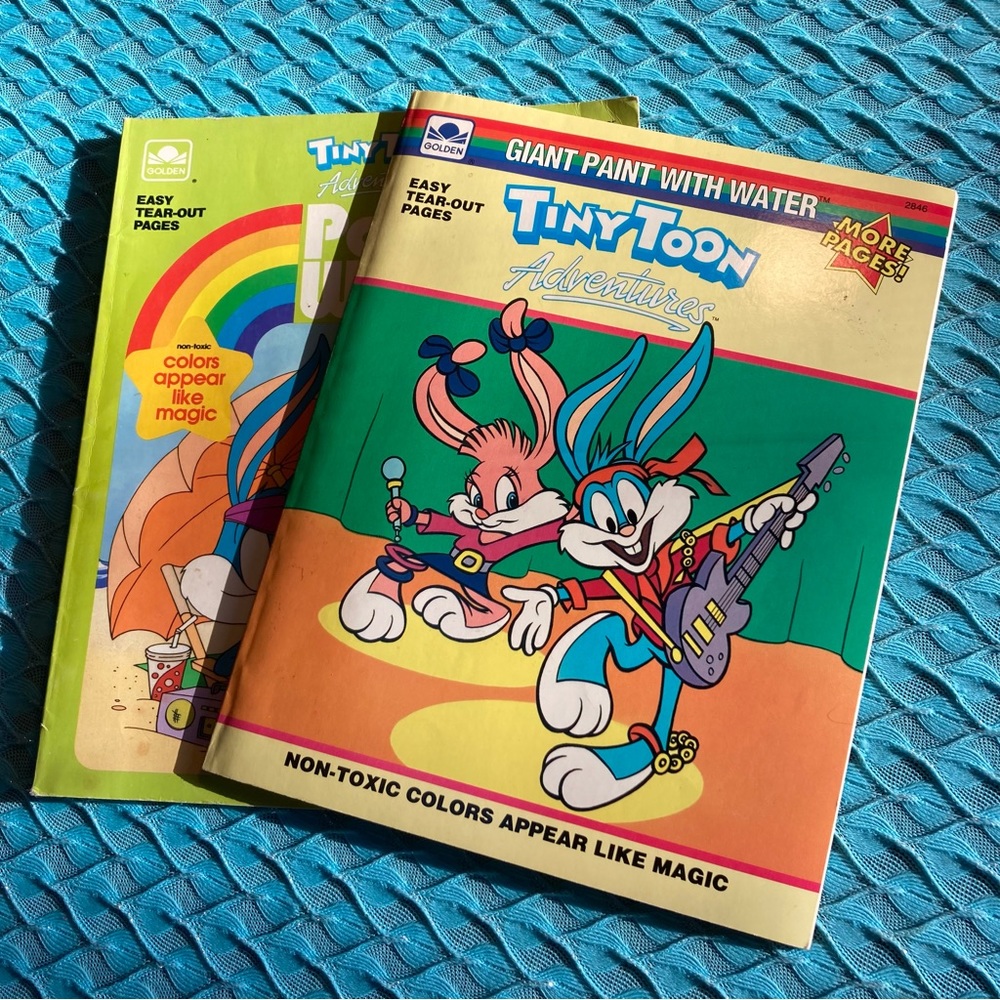 1990s Tiny Toon Paint With Water Books